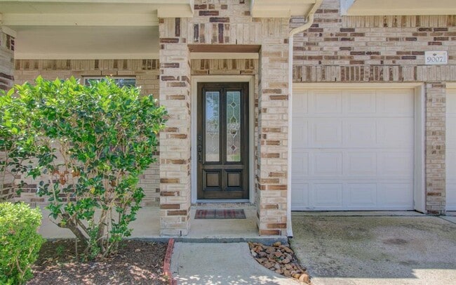 9007 S Ferndale Pl Dr in Houston, TX - Building Photo - Building Photo