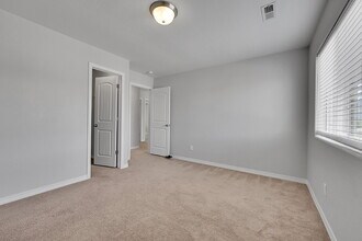 4033 Silver Star Grove in Colorado Springs, CO - Building Photo - Building Photo
