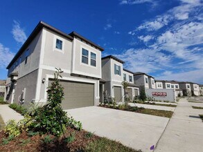 31700 Blue Passing Loop in Wesley Chapel, FL - Building Photo - Building Photo