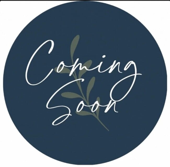 property at 655 Silver Moss Dr