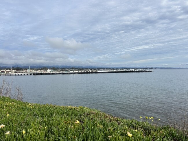 109 Manor Pl in Santa Cruz, CA - Building Photo - Building Photo