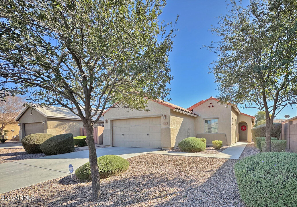 2183 E Everglade Ln in Gilbert, AZ - Building Photo