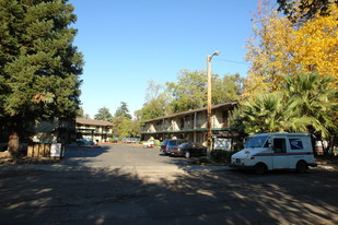 Wildflower Apartments