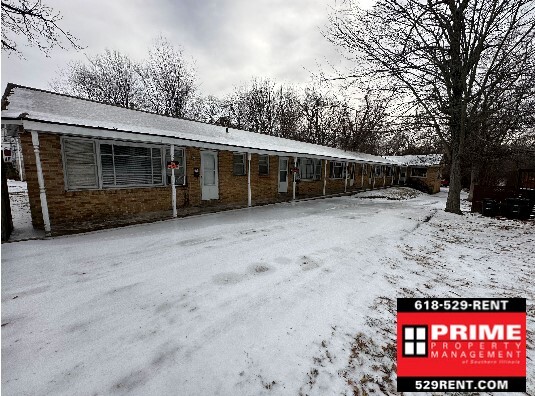 805 W Main St in Carbondale, IL - Foto de edificio