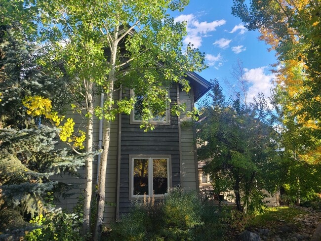 3115 Mariah Ct in Steamboat Springs, CO - Building Photo - Building Photo