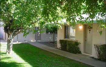 Mustang Apartments in Phoenix, AZ - Building Photo - Building Photo