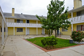 Oxford Apartments in Arlington, TX - Building Photo - Building Photo