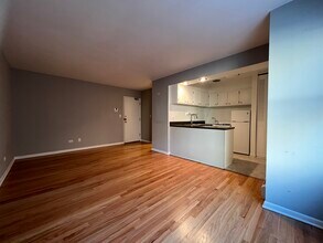 516 W Melrose St, Unit 206 in Chicago, IL - Foto de edificio - Building Photo