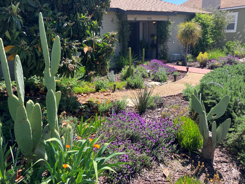 1938 Olive St in Paso Robles, CA - Building Photo