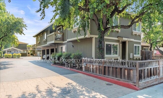 property at 1215 Bird Ave.