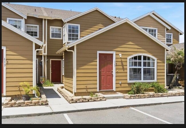 property at 623 Coconut Palm Way