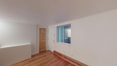 336 N Grant St, Unit 302 in Denver, CO - Building Photo - Building Photo