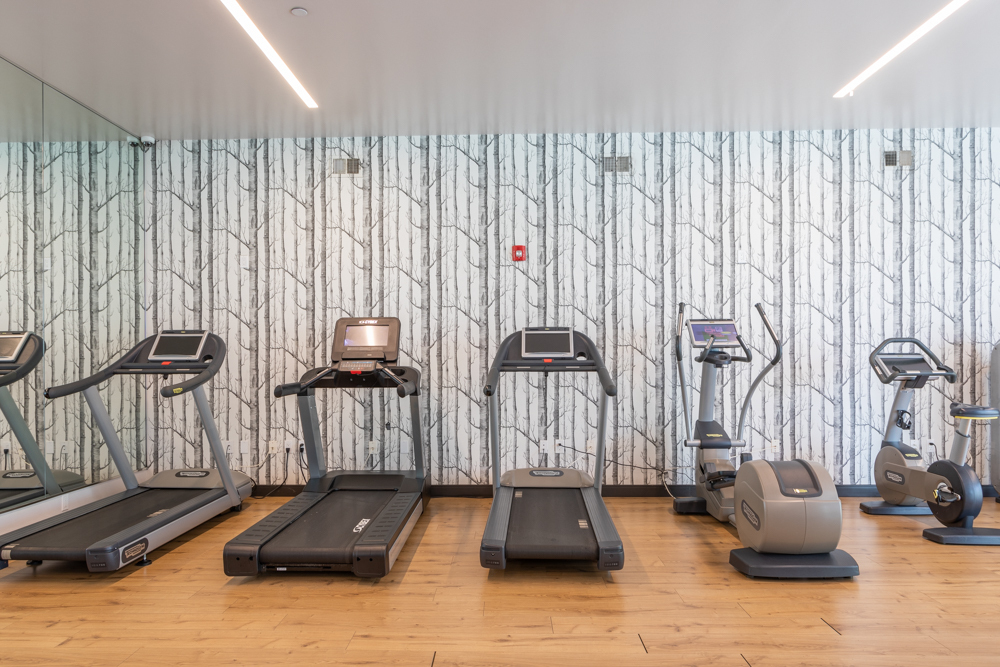 251 Dekalb Apartments in King of Prussia, PA