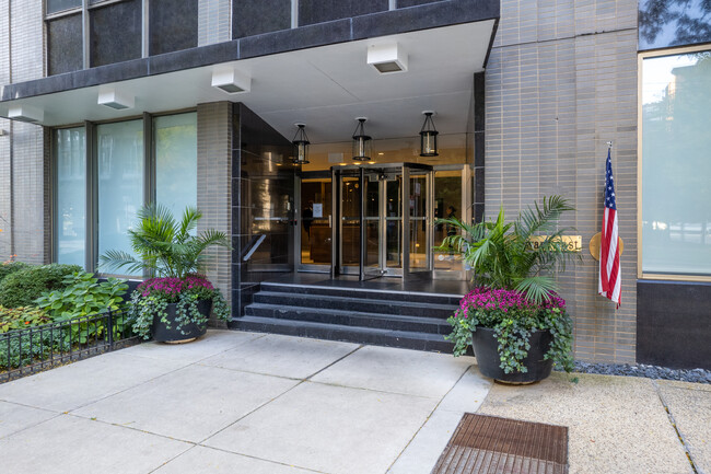 253 E Delaware Pl in Chicago, IL - Foto de edificio - Building Photo