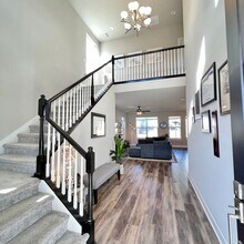 199 Simmental Lp in Castle Rock, CO - Building Photo - Building Photo