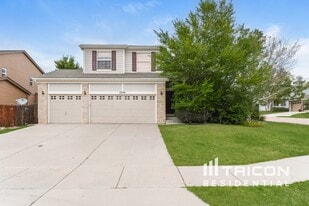 6256 Alibi Cir in Colorado Springs, CO - Building Photo
