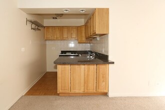 533 W Aldine in Chicago, IL - Building Photo - Building Photo