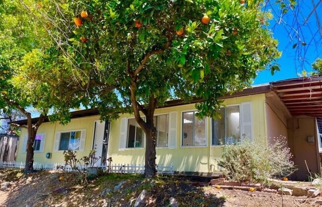 property at 1568 Primera St