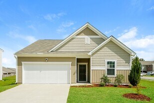 100 Quincy Meadow Ave in Zebulon, NC - Building Photo