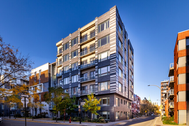 Zendo Condominium in Montréal, QC - Building Photo - Primary Photo