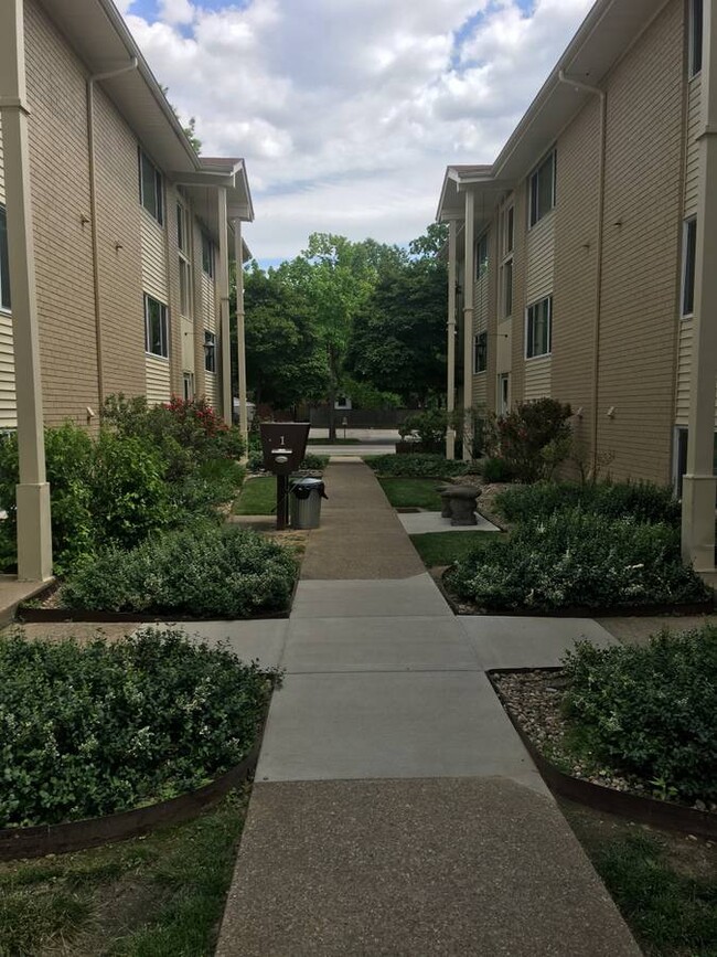 Elm Grove Apartments in New Albany, IN - Building Photo - Building Photo