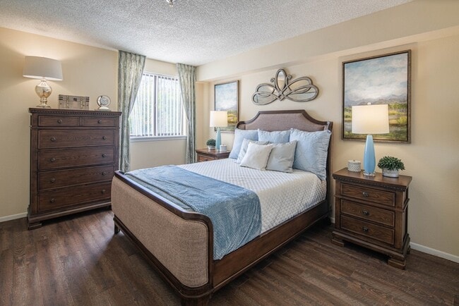 Palazzo Senior Apartments - 55+ Active Adult Apartments in Phoenix, AZ - Building Photo - Building Photo