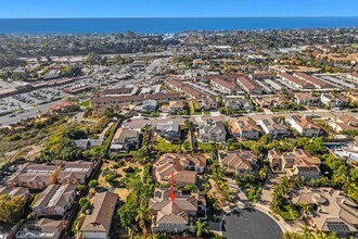 527 Quail Pointe Ln in Encinitas, CA - Building Photo - Building Photo