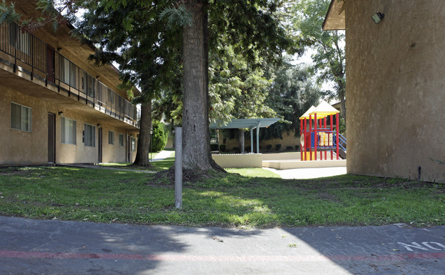 University Park Apartments in Loma Linda, CA - Building Photo - Building Photo