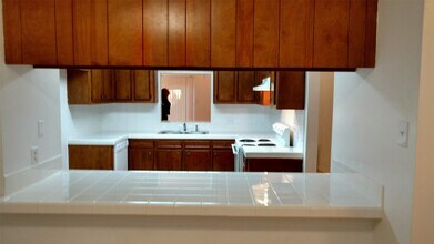 34 Green Bough Ct in The Woodlands, TX - Building Photo - Building Photo