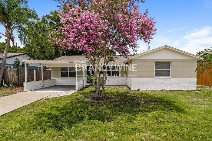 8509 Portulaca Ave in Seminole, FL - Building Photo