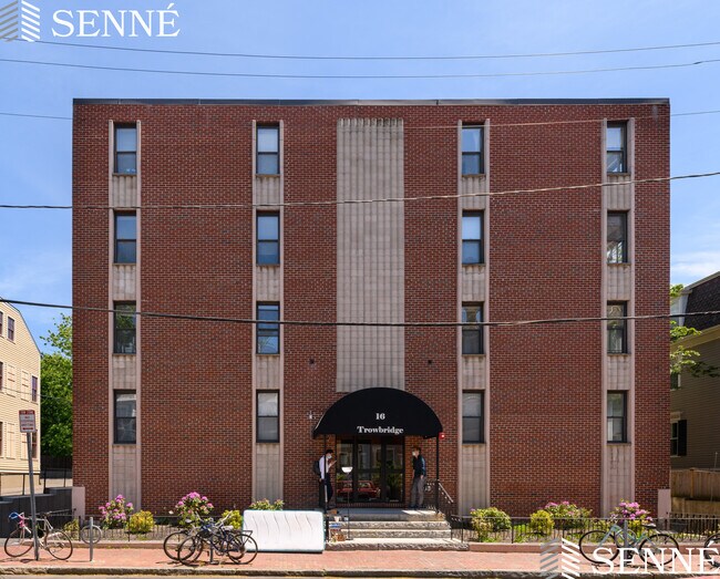 16 Trowbridge St Apartments and Nearby Cambridge Apartments For Rent
