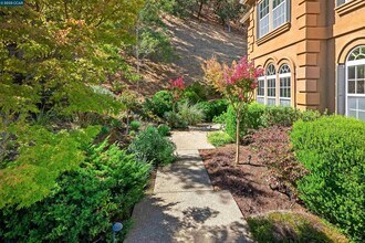 20 Oak Crest Ln in Alamo, CA - Building Photo - Building Photo