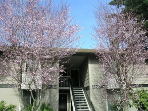 Sunset Ridge Apartments in University Place, WA - Building Photo - Building Photo