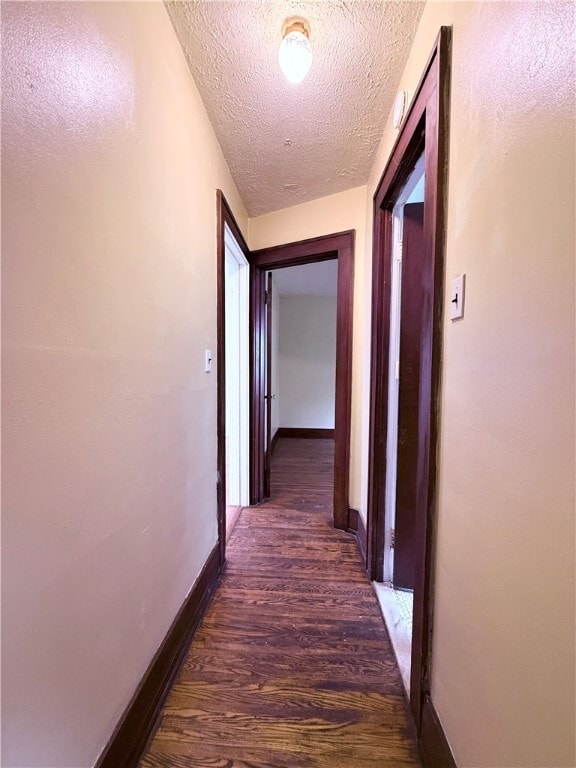 34 Terrace Park in Rochester, NY - Building Photo - Building Photo