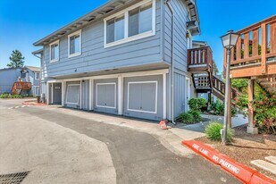 3145 Shofner Pl in San Jose, CA - Building Photo