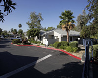 Cornerstone Senior in Sacramento, CA - Building Photo - Building Photo