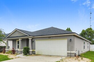 4196 Great Falls Loop in Middleburg, FL - Foto de edificio - Building Photo