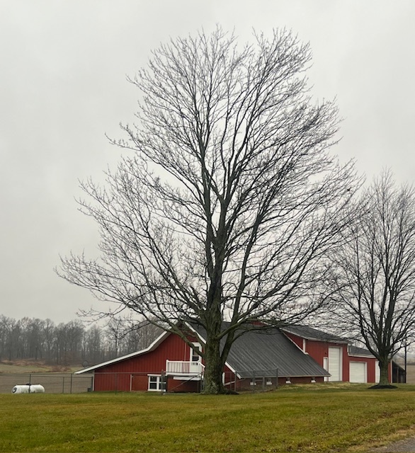 5644 Heyl Rd in Wooster, OH - Building Photo