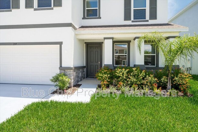 359 Mangrove Manor Dr in Apollo Beach, FL - Building Photo - Building Photo