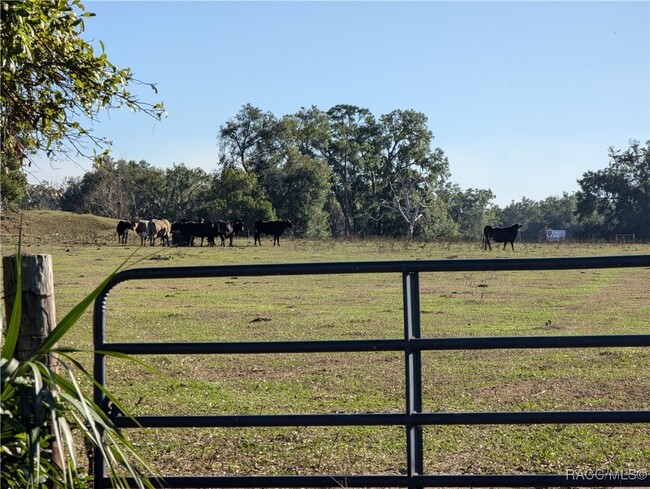 2151 N Meadowview Terrace in Hernando, FL - Building Photo - Building Photo