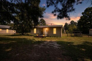 2827 Bobville Rd in Montgomery, TX - Building Photo