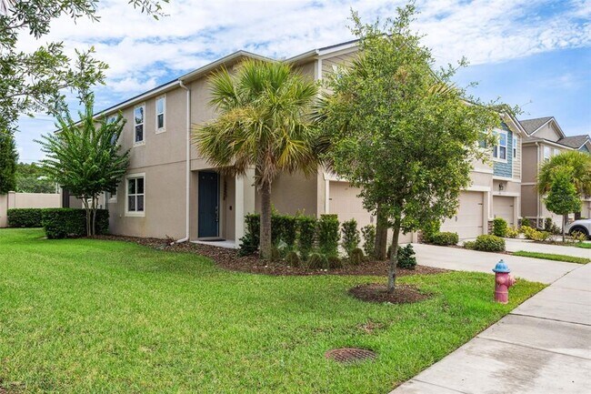 5715 Grand Sonata Ave in Lutz, FL - Building Photo - Building Photo