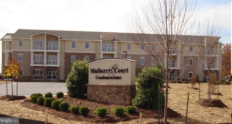 Mulberry Court Apartments in Culpeper, VA - Foto de edificio