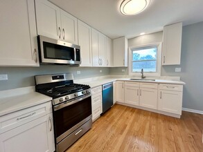 119 7th St in Downers Grove, IL - Building Photo - Building Photo