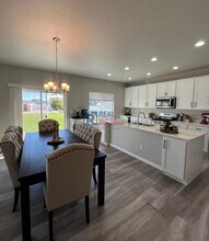 4597 Hollycomb Dr in Windsor, CO - Building Photo - Building Photo