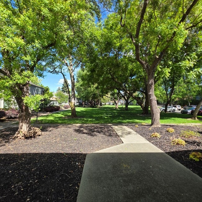 property at 420 Sycamore Cir