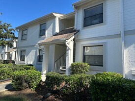 409 Meadow Ln in Oldsmar, FL - Building Photo