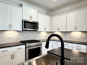 15906 Parkside crossing Dr in Charlotte, NC - Building Photo - Building Photo