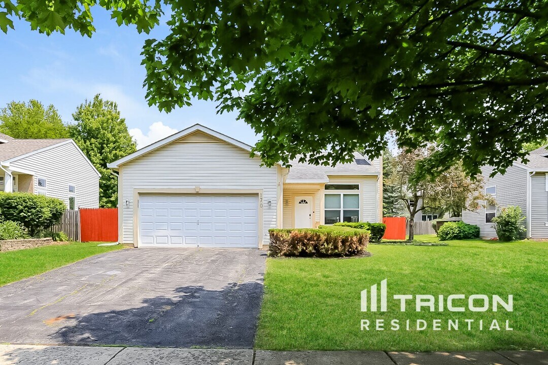 170 Sparrow Ln in Bolingbrook, IL - Building Photo
