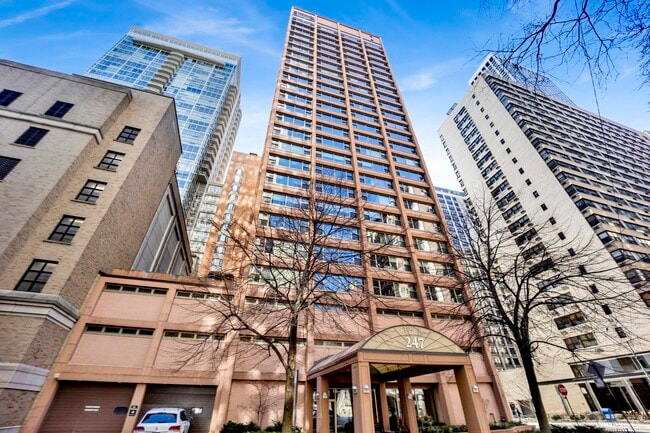247 E Chestnut St in Chicago, IL - Foto de edificio - Building Photo